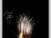 DSC_9717 copie