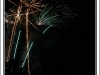 DSC_9746 copie
