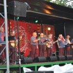 gestel-en-fete-2015-019