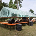 gestel-en-fete-2015-138